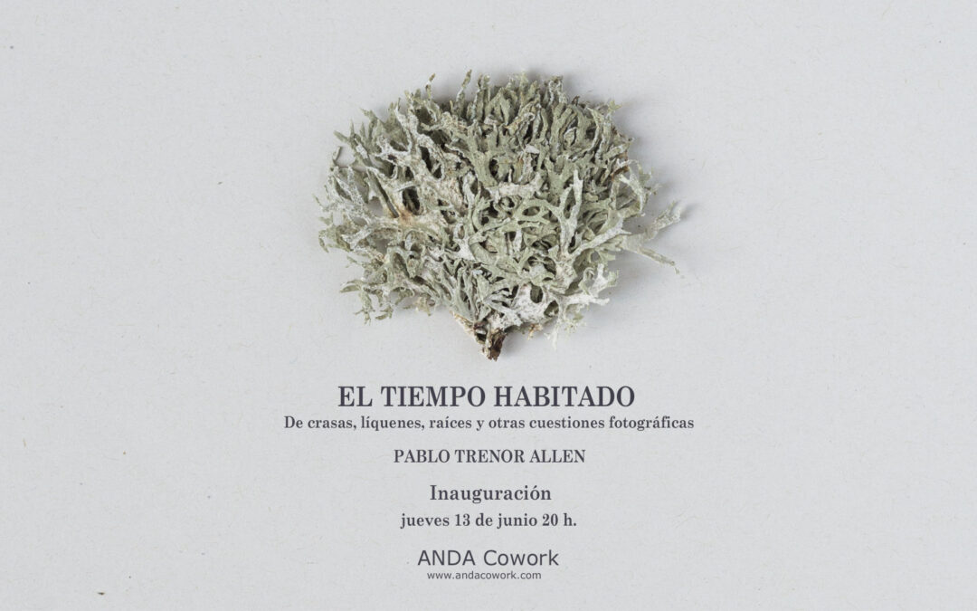 Inaguracion Exposición: El tiempo habitado. De crasas, líquenes, raíces y otras cuestiones fotográficas